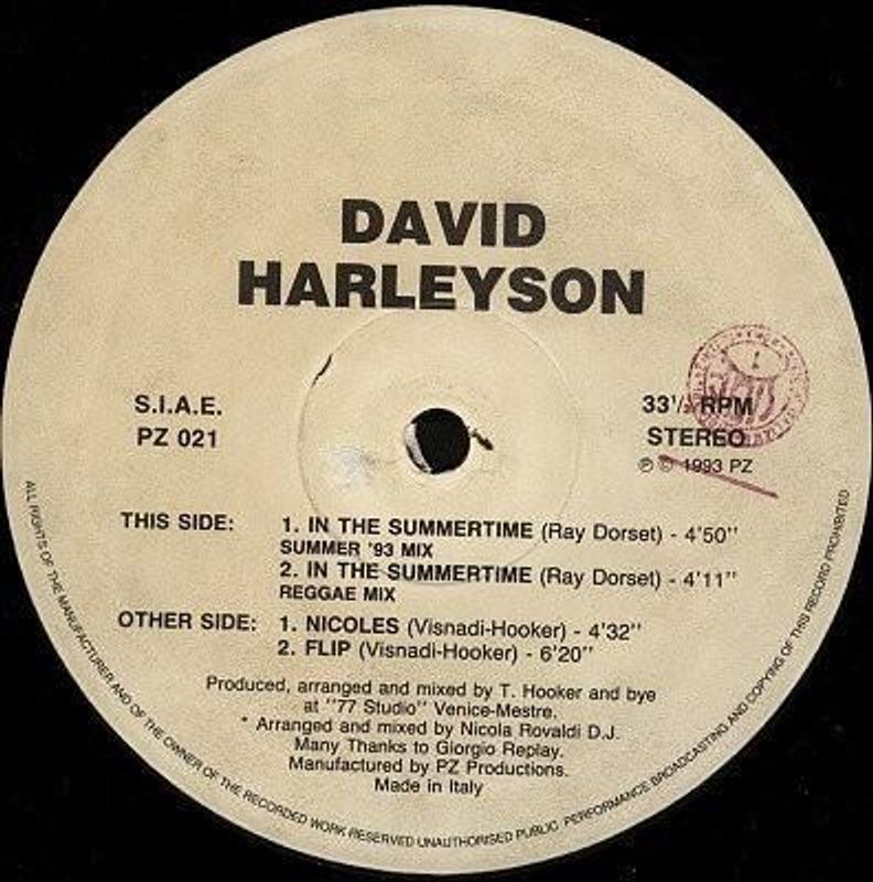 David Harleyson In The Summertime 12"Vinyl (Electronic) - Image 1