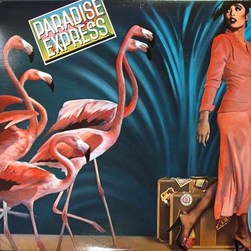 Paradise Express Paradise Express 12"Vinyl (Funk / Soul) - Image 1