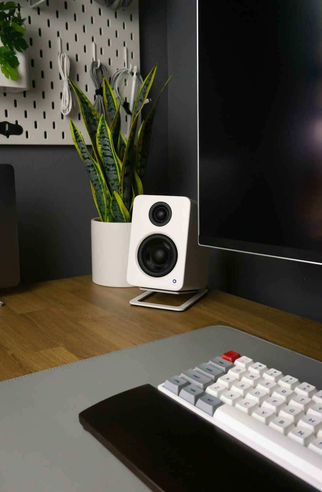 Modern Design Meets Studio-Grade Sound