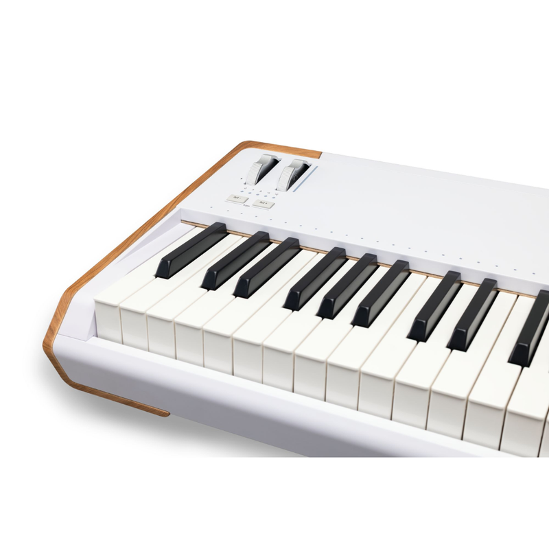 Arturia AstroLab 88 Avant-Garde Stage Keyboard, White - Image 3