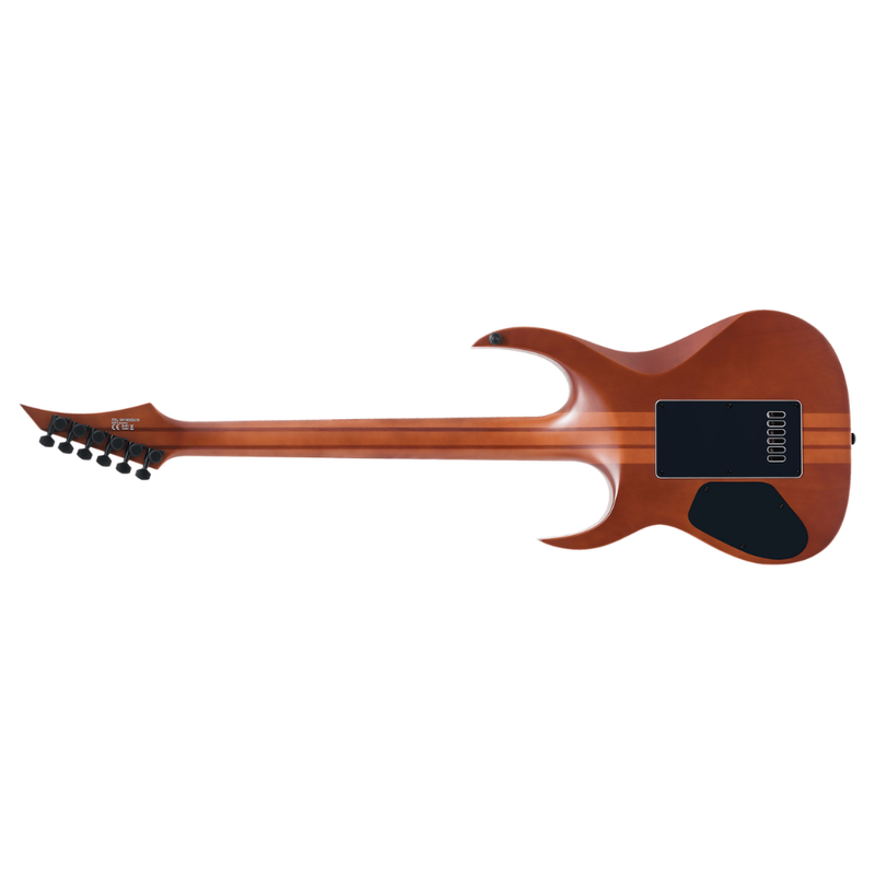 Solar Guitars S1.6PP – Poplar Purple Burst Matte - Image 2
