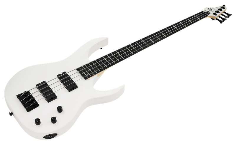 Stylish and Functional Design